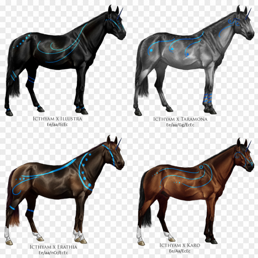 Spirit Horse Mule Coloring Book PNG