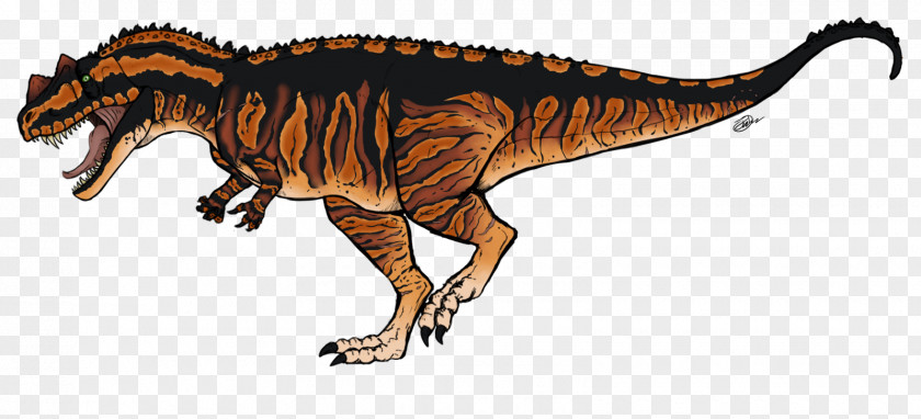 Tyrannosaurus Ceratosaurus Allosaurus Apatosaurus Coelophysis PNG