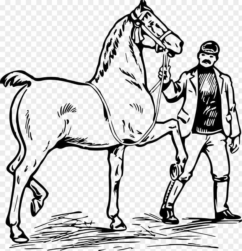 Headless Horseman Horse Mule Colt Stallion Clip Art PNG