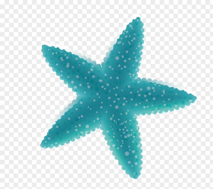Fat Starfish Icon PNG