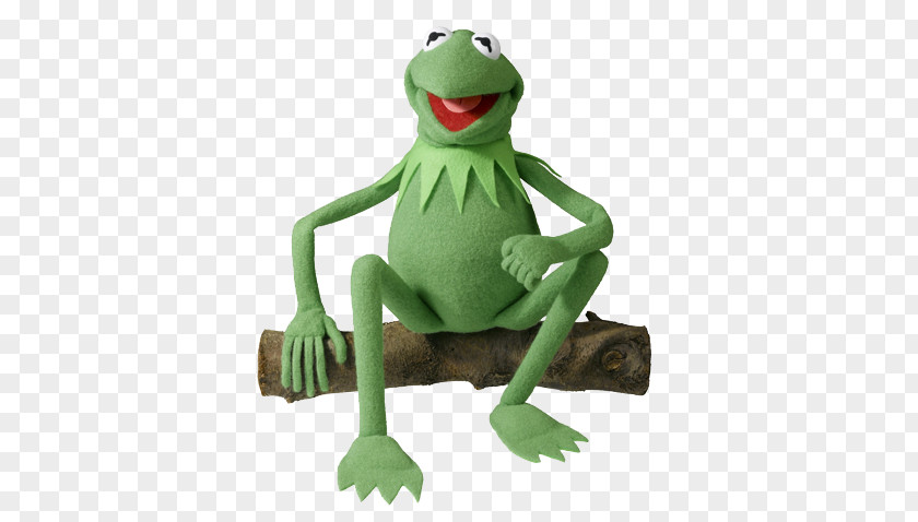 Frog Kermit The Humour Drawing PNG