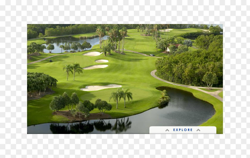 Golf Course Clubs Water Resources Pond PNG