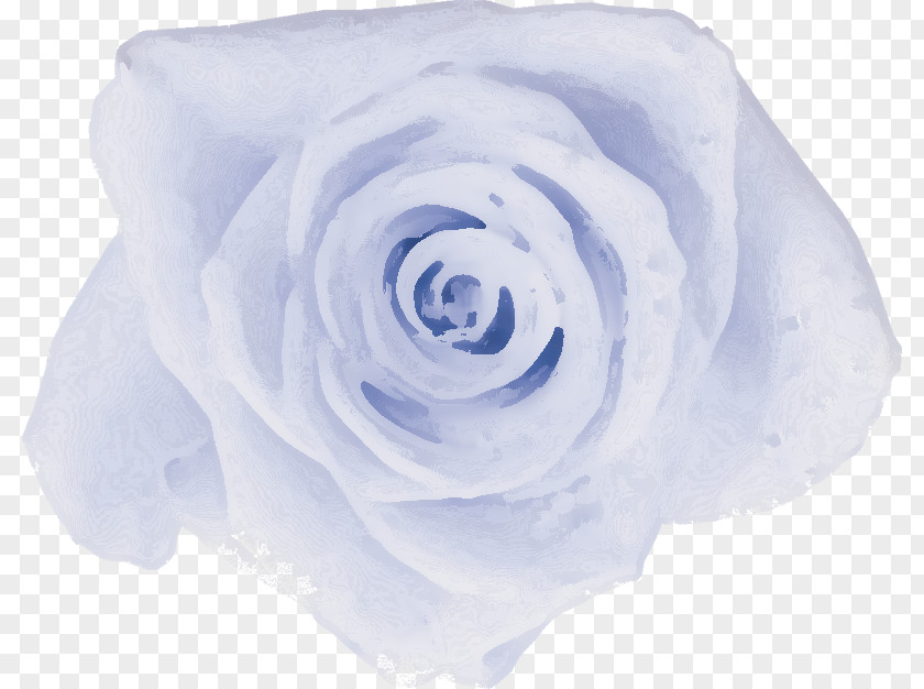 Green Rose Garden Roses Cabbage Blue Cut Flowers Petal PNG