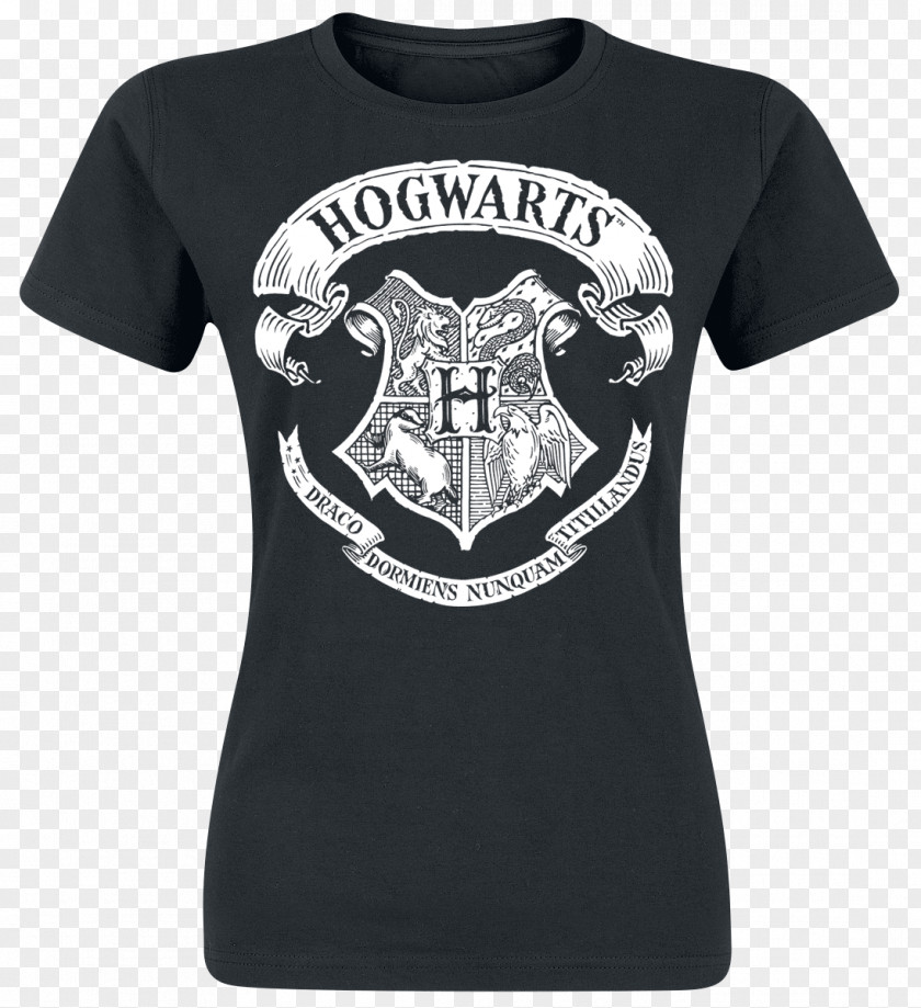 Harry Potter (Literary Series) Hogwarts School Of Witchcraft And Wizardry Gryffindor The Philosopher's Stone PNG