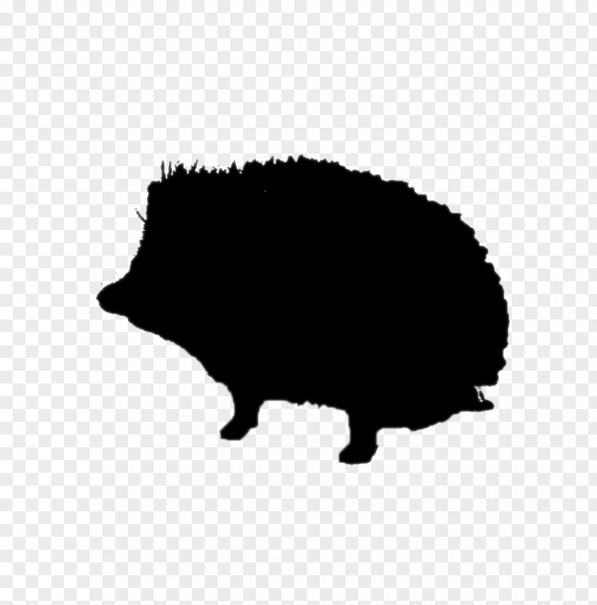 Pig Peccary Hedgehog Cattle Mammal PNG