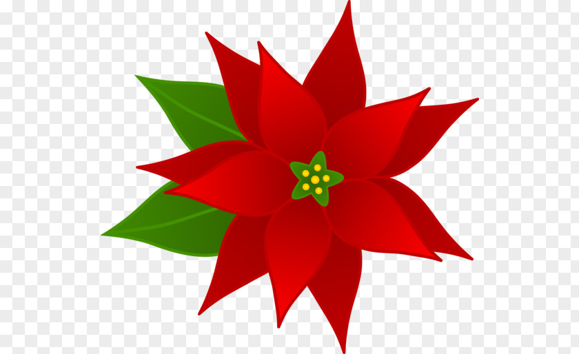 Poinsettia Clipart Christmas Holiday Clip Art PNG