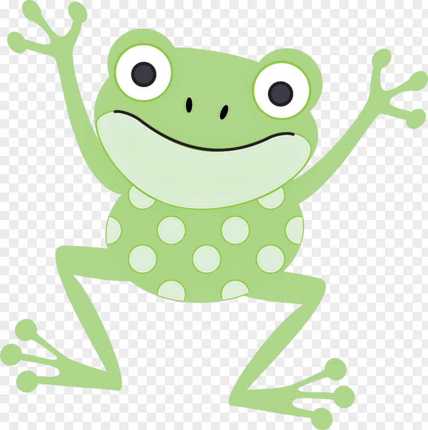 Tree Frog True Frogs Amphibians Edible PNG
