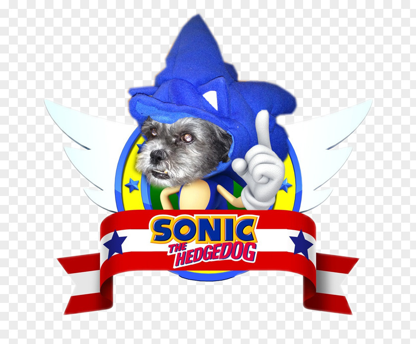 Bibs Poster Sonic The Hedgehog 4: Episode II 3 & Knuckles PNG