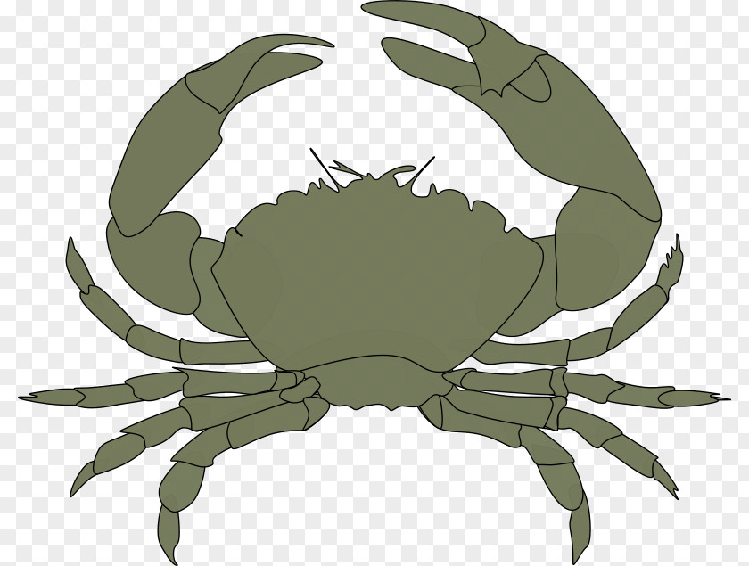 Black Pepper Crab Christmas Island Red Florida Stone PNG pepper crab red stone , Crustacean s clipart PNG