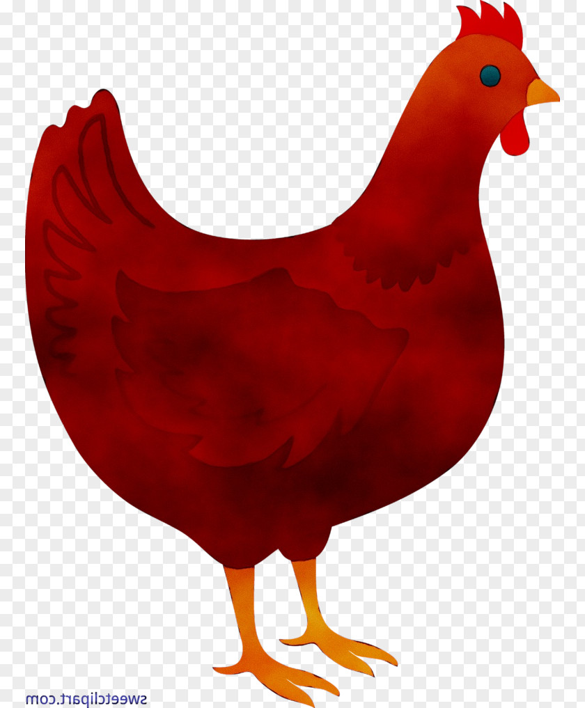 Rooster Chicken Clip Art Bird World Wide Web PNG