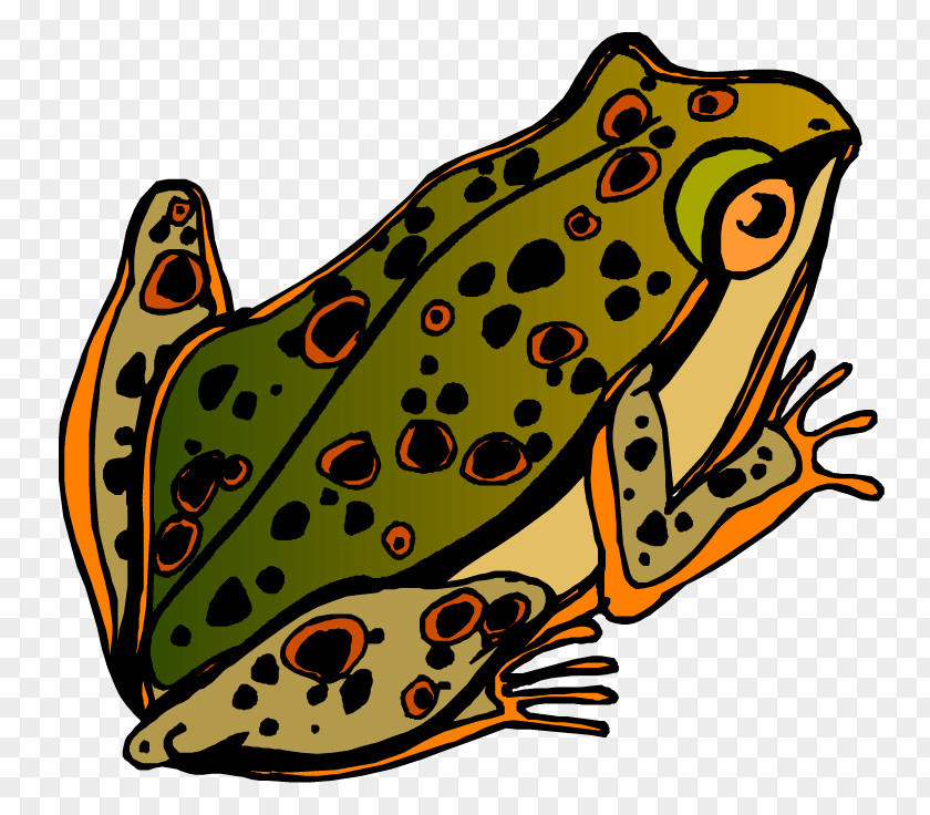 Toad Blog Clip Art PNG