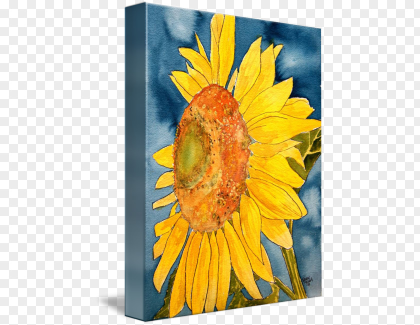 Watercolor Flowers Print Common Sunflower Painting Art Drawing PNG