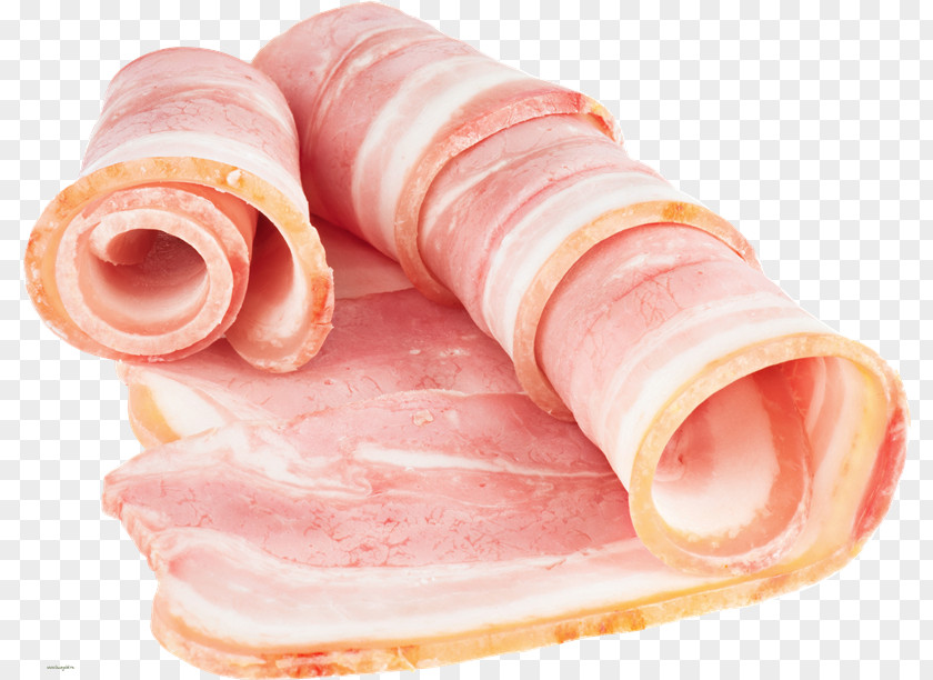 Bacon Ham Hot Dog Clip Art PNG