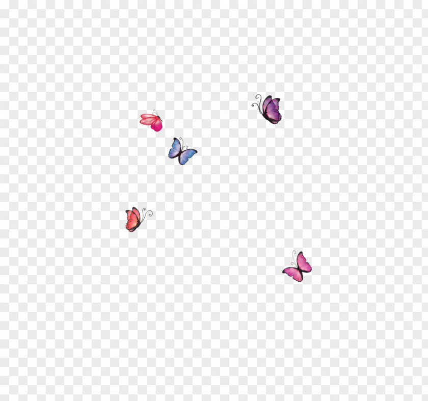 Butterfly Elements Download Drawing PNG