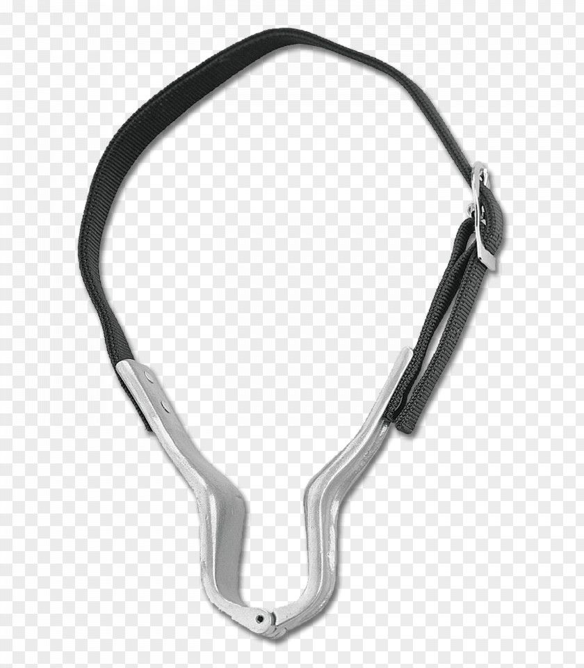 Horse Halter Lead Belt Stable PNG