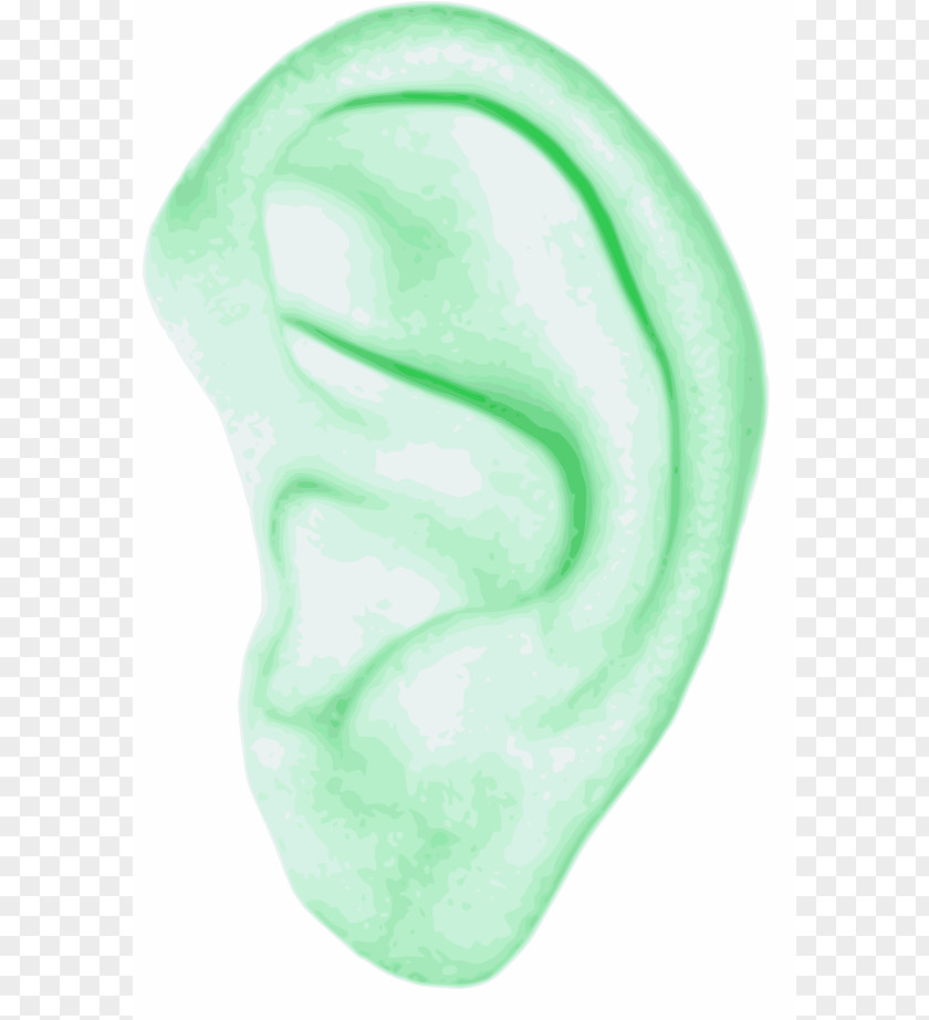Human Figure Outline Ear Body Clip Art PNG