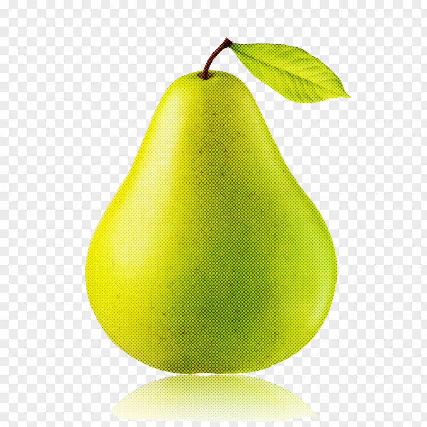 Pear Tree Fruit Plant PNG