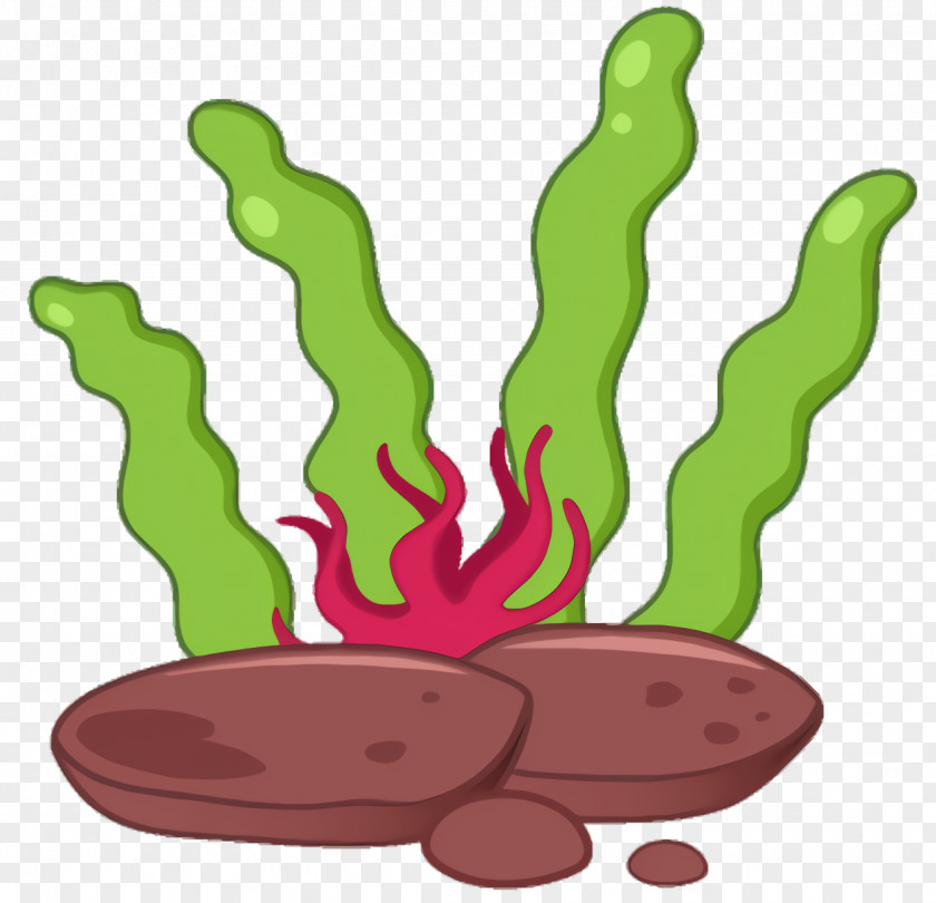 Vegetable Cactus Cartoon PNG