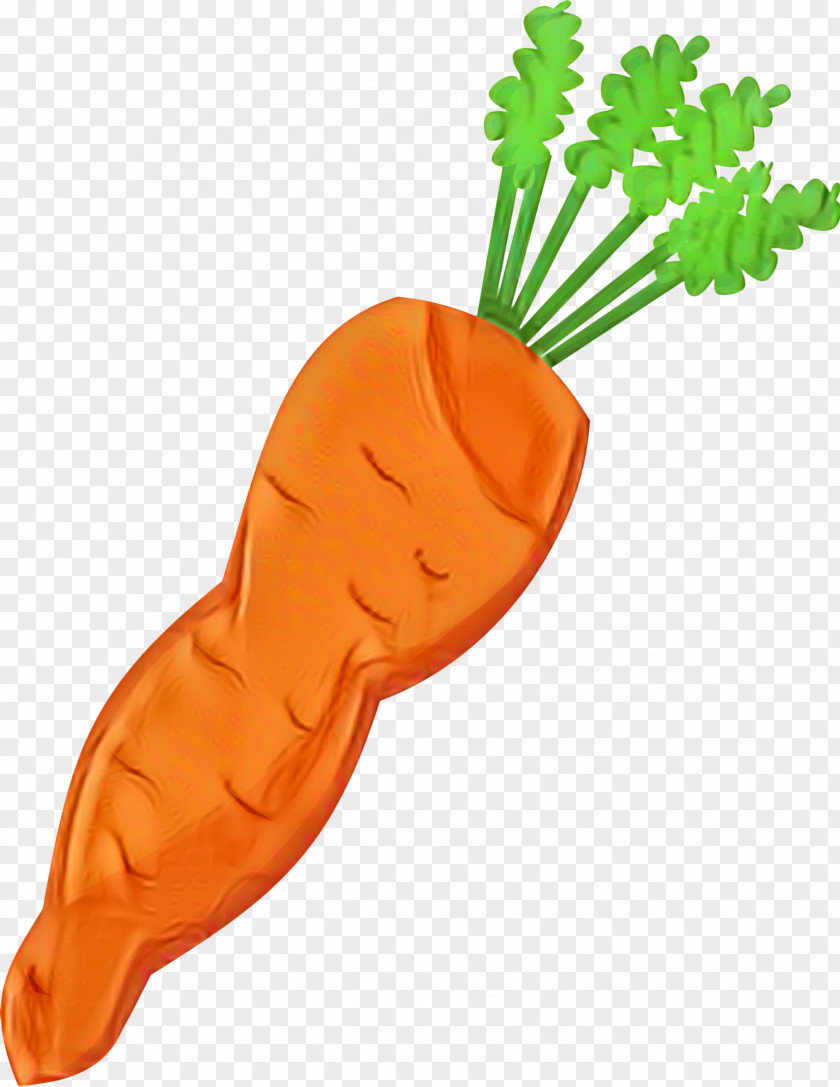 Baby Carrot Clip Art Vegetable Salad PNG