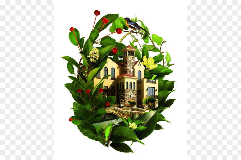 Building Cottage Pond Cartoon PNG