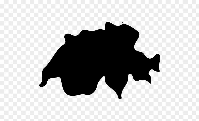 Turtle Wildlife Rhinoceros Zoo Clip Art PNG