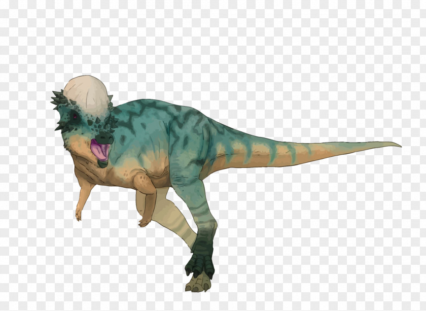 Vector Dinosaur Pachycephalosaurus Tyrannosaurus Velociraptor Summer Prosaurolophus PNG