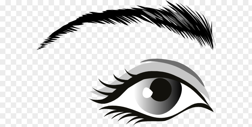 Eyes Outline Cliparts Human Eye Clip Art PNG