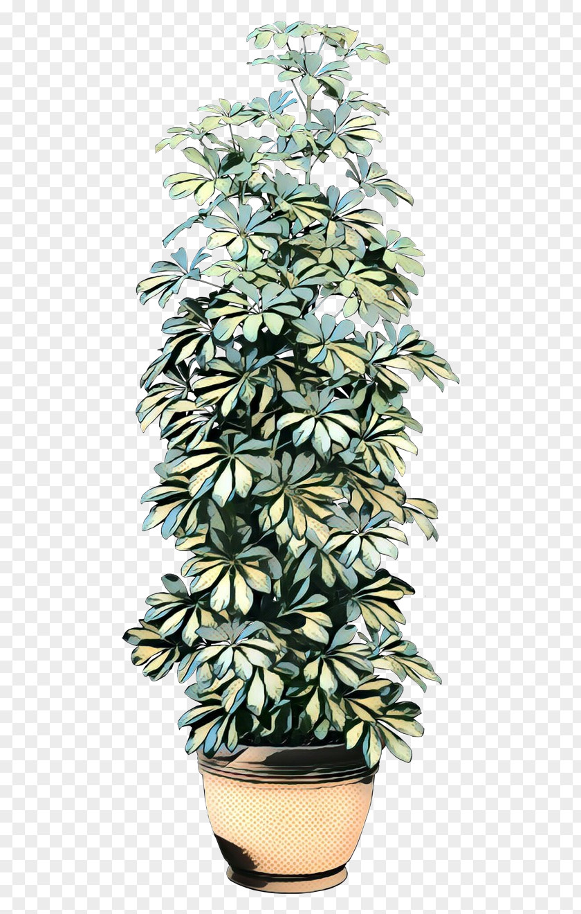 Houseplant Flowerpot Tree PNG