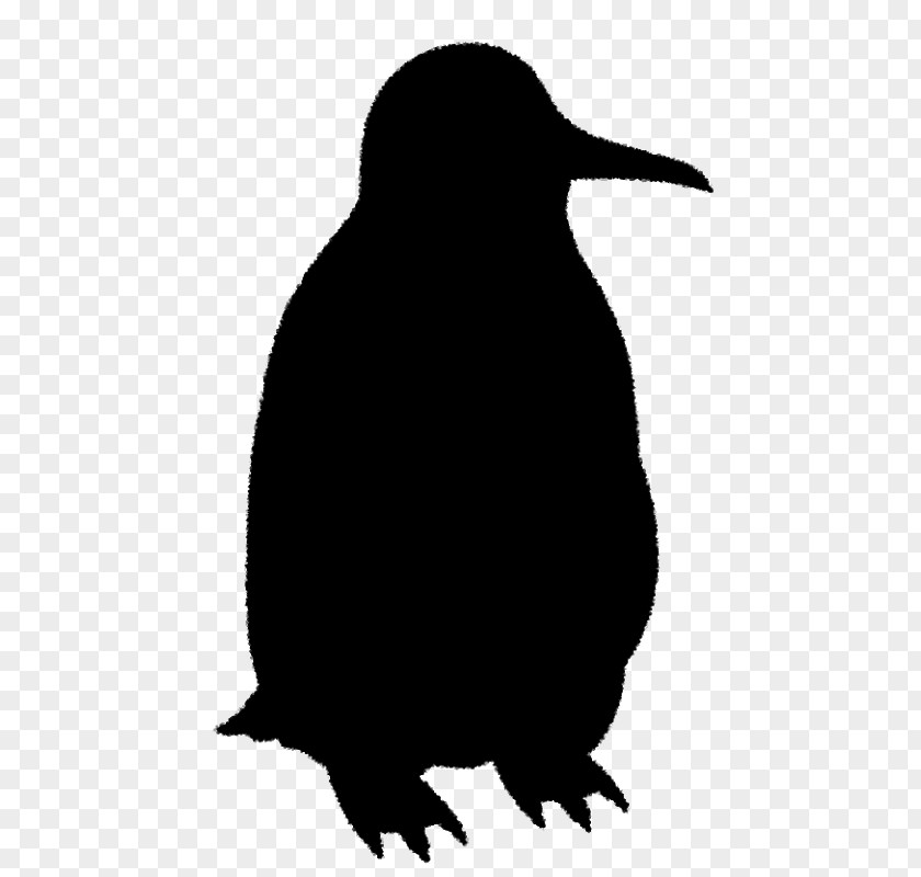 Penguin Clip Art Fauna Beak Silhouette PNG