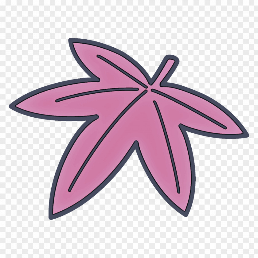 Plant Petal Pink Purple Violet Leaf PNG