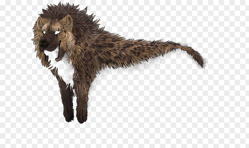 Hyena Striped Cat Fur Lion PNG