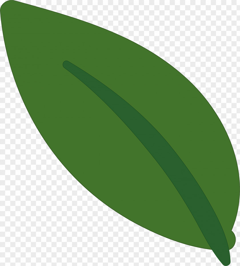 Leaf PNG