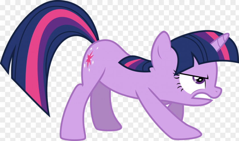 Twilight Sparkle Pony Rarity Rainbow Dash Pinkie Pie PNG