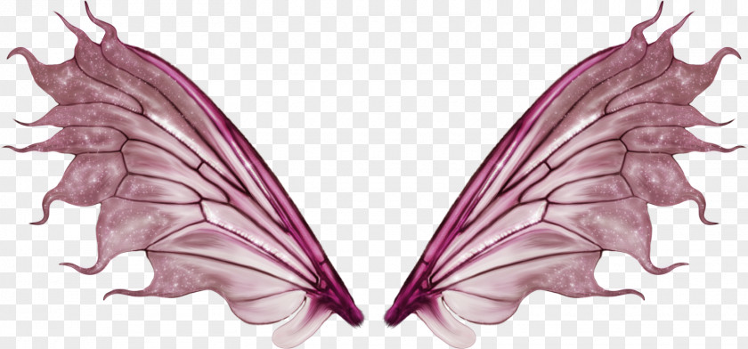 Wings Tinker Bell Butterfly Fairy PNG