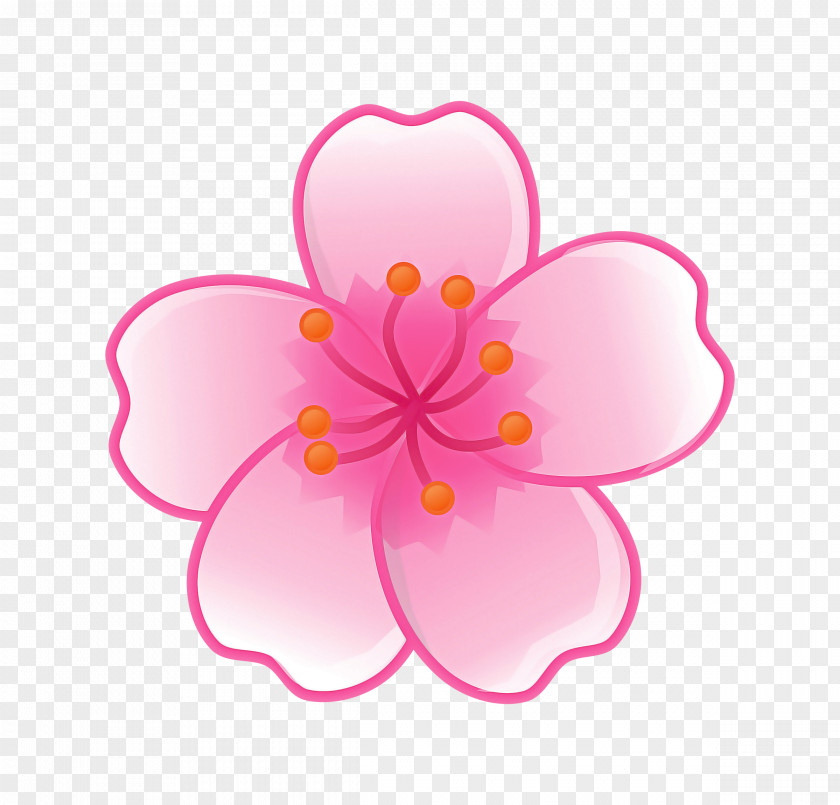 Blossom Cherry PNG