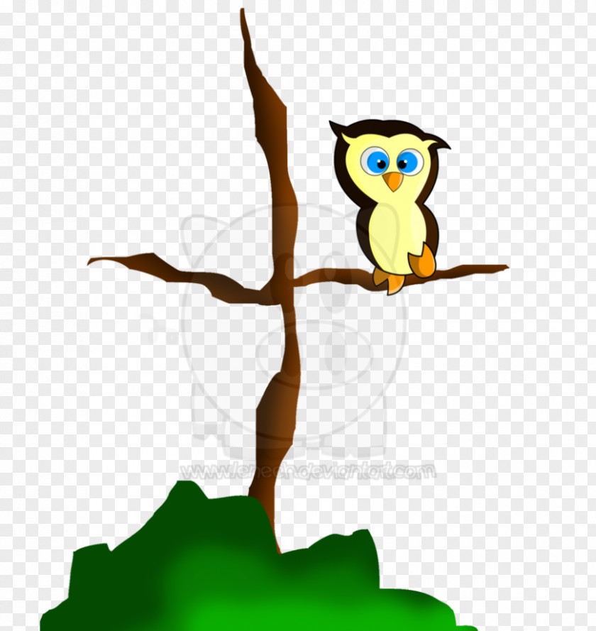 Little Owl Clip Art Illustration Beak Fiction PNG