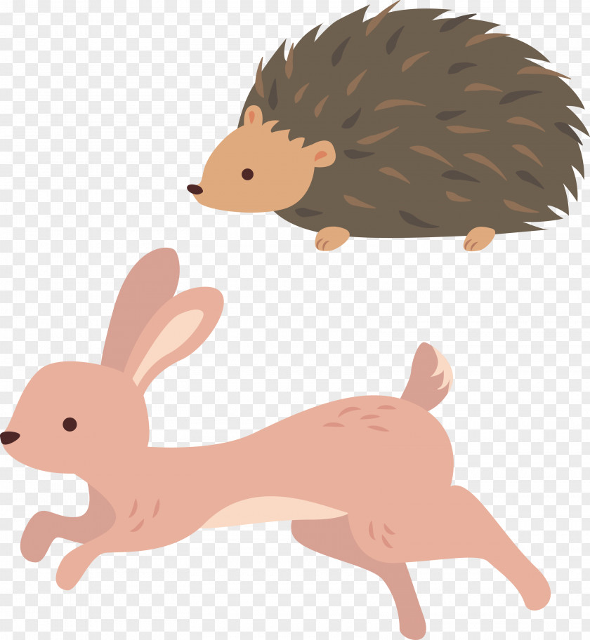 Run The Hedgehog And Rabbit Domestic Clip Art PNG