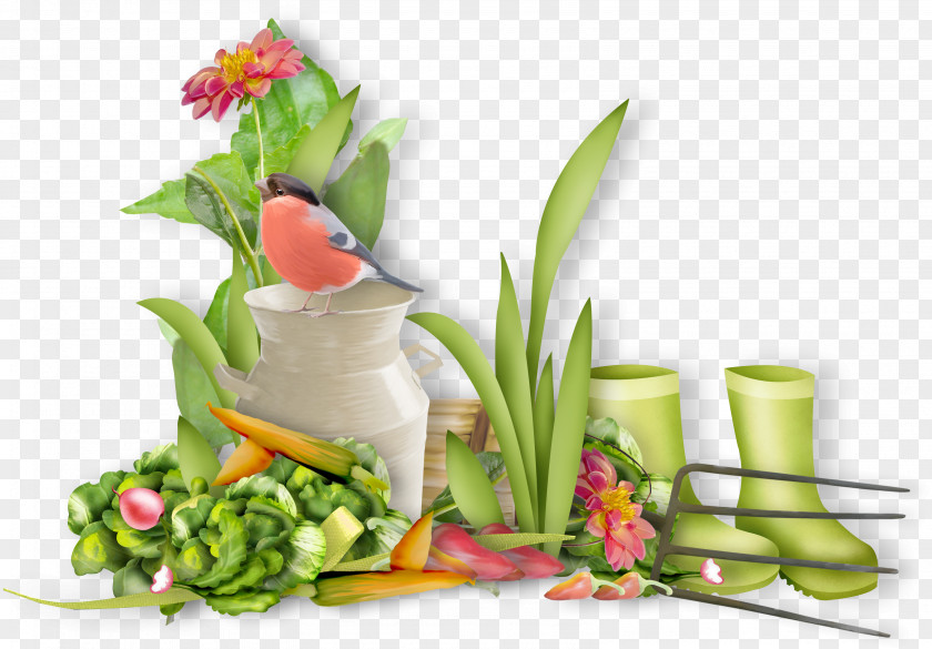 Vegetables Material Cheboksary Vegetable Food Clip Art PNG