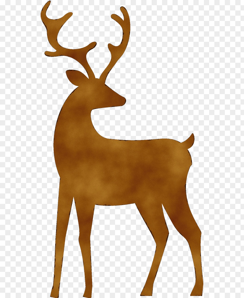 Antler Antelope Reindeer PNG