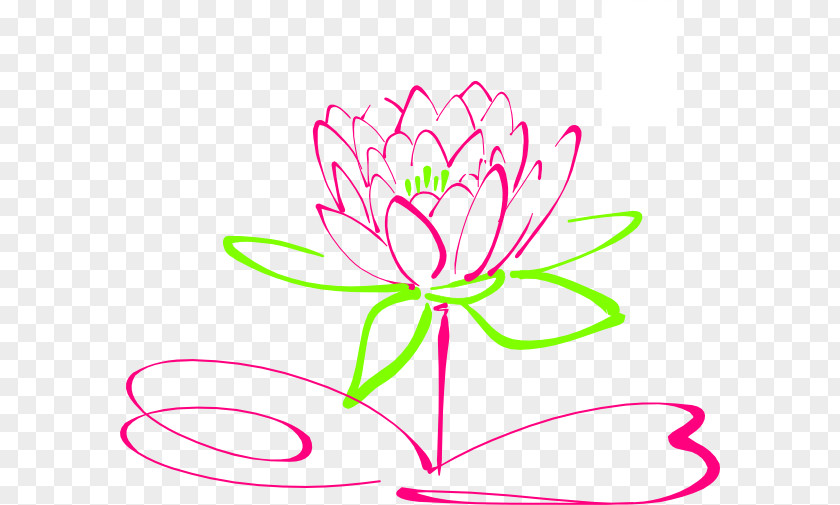 Hand-painted Bloom Lotus Nelumbo Nucifera Drawing Clip Art PNG