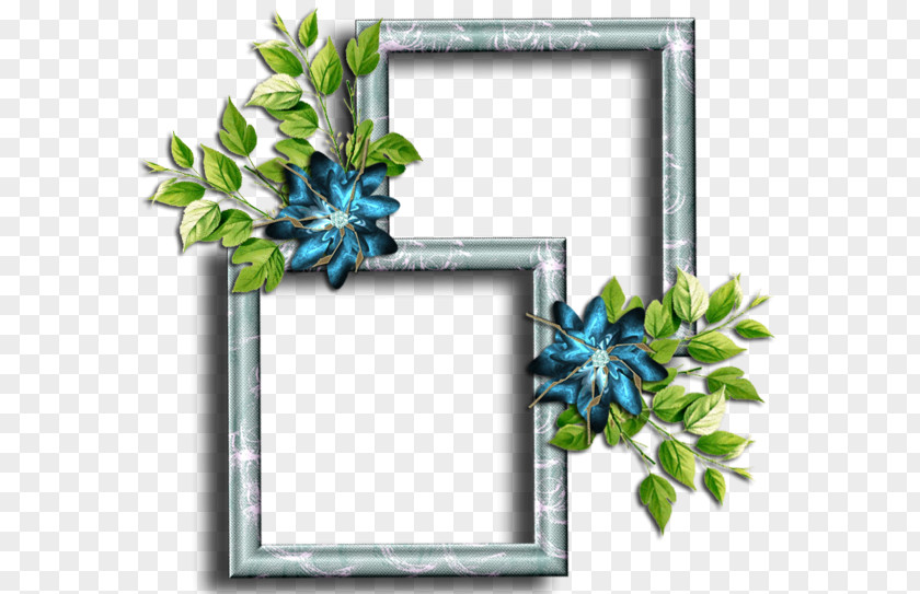 Picture Frames Photography PaintShop Pro Floral Design PNG