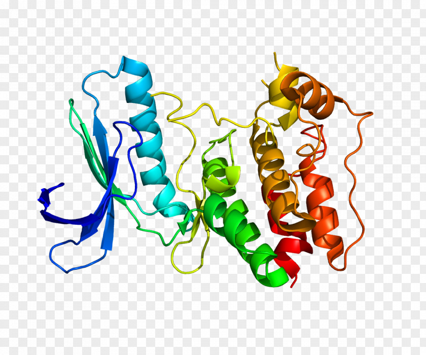 Protein Kinase TTK Kalirin Gene PNG