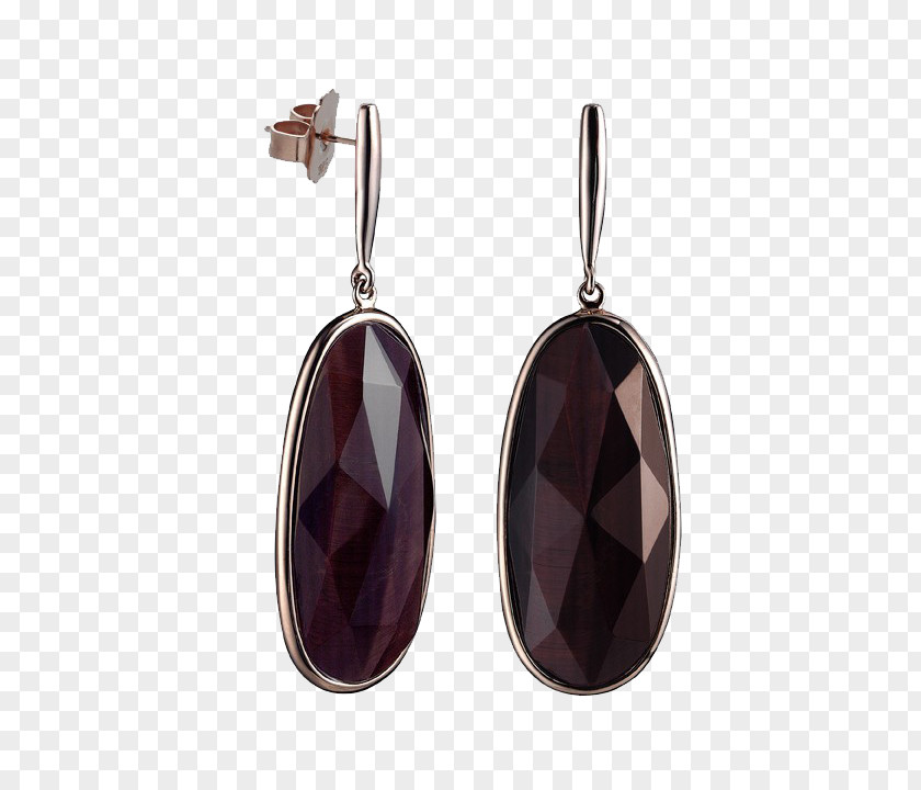 Purple Amethyst Earring Silver PNG