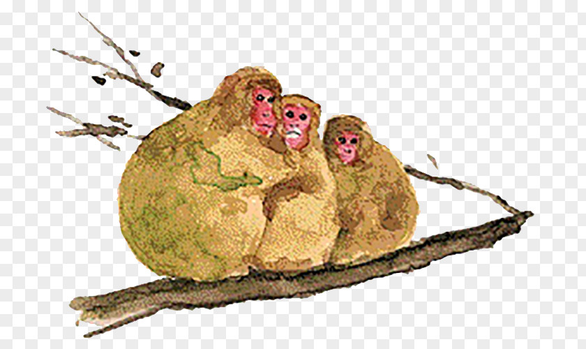 Tree Monkey Facial Expression PNG