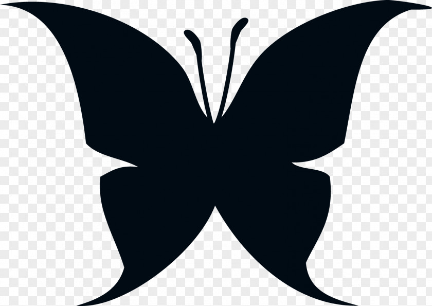 Butterfly Silhouette Symmetry Pattern PNG