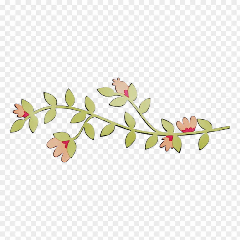 Clip Art Plant Stem Floral Design Leaf PNG