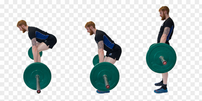 Fitness Movement Exercise Balls Physical Strength And Conditioning Coach Training 5S PNG
