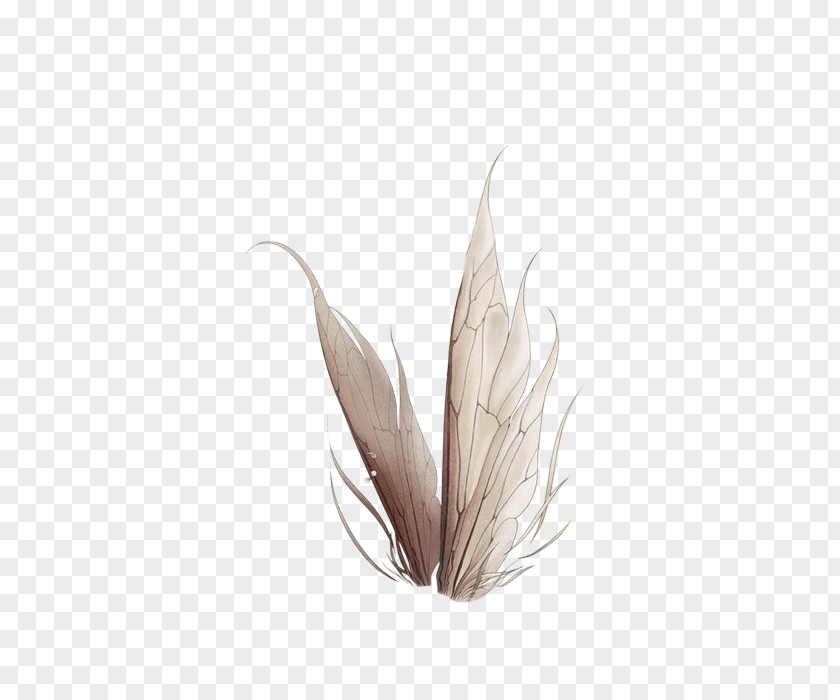 Insect Wings Fairy Idea Illustration PNG