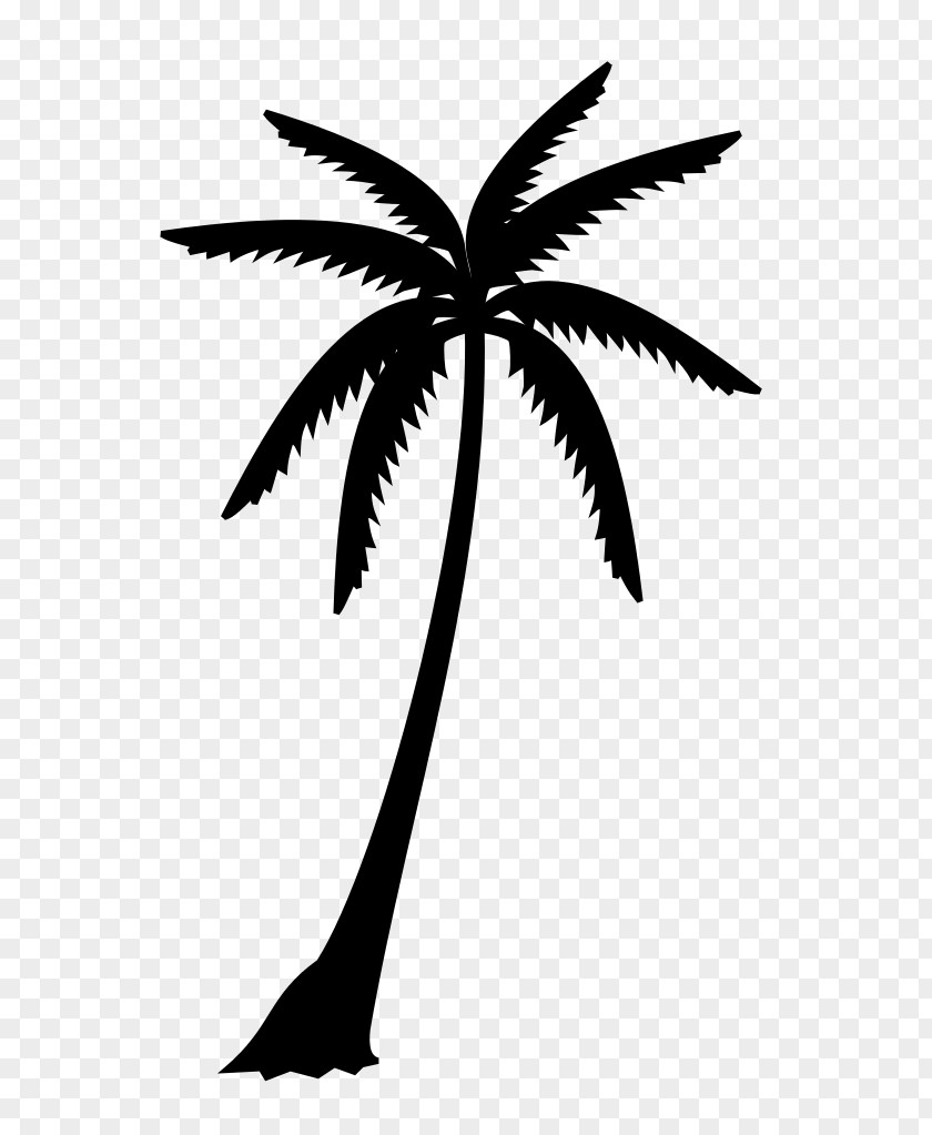 M Leaf Plant Stem Silhouette Palm Trees Black & White PNG