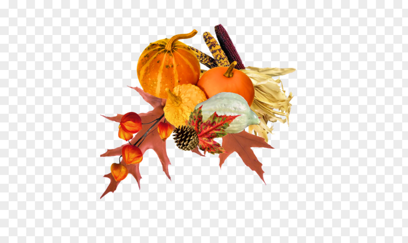 Pumpkin Calabaza Vegetarian Cuisine На дальней станции сойду Clip Art PNG